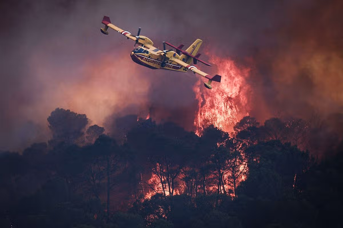 Fire crews are battling the forest fires