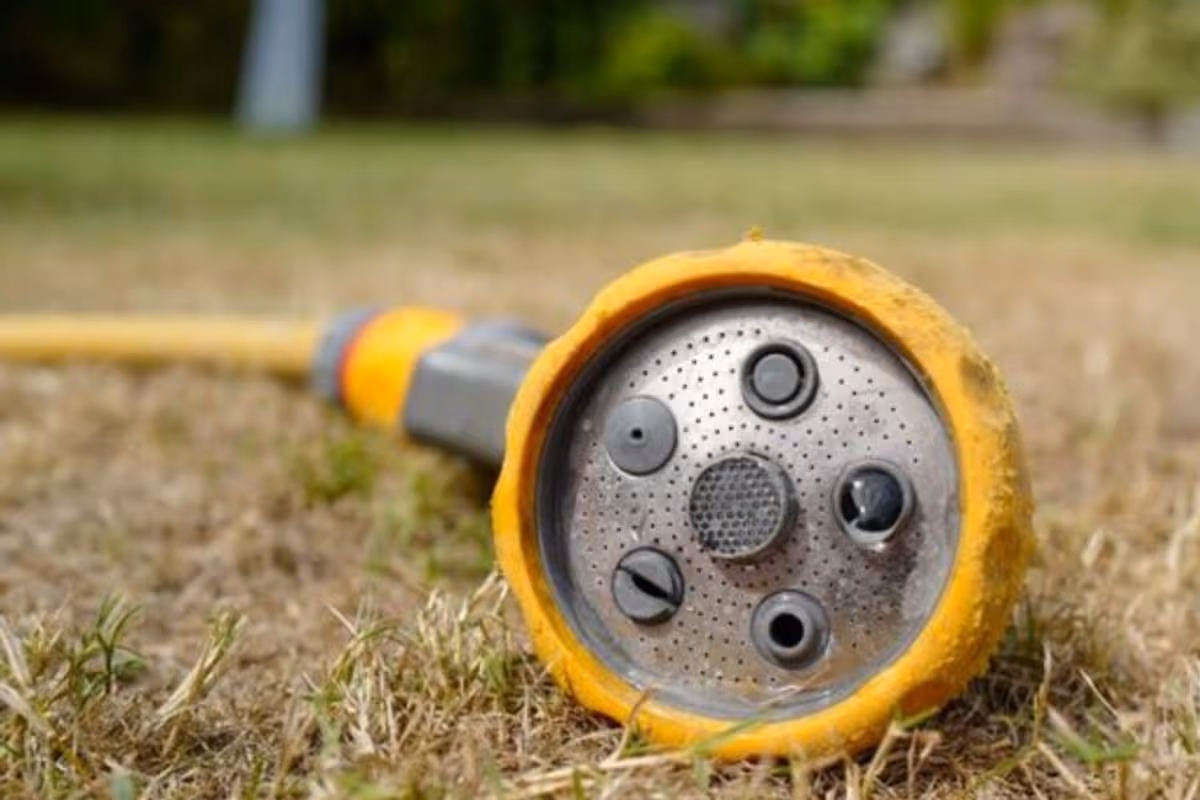 33,000 households in Wales will be banned from using hosepipes