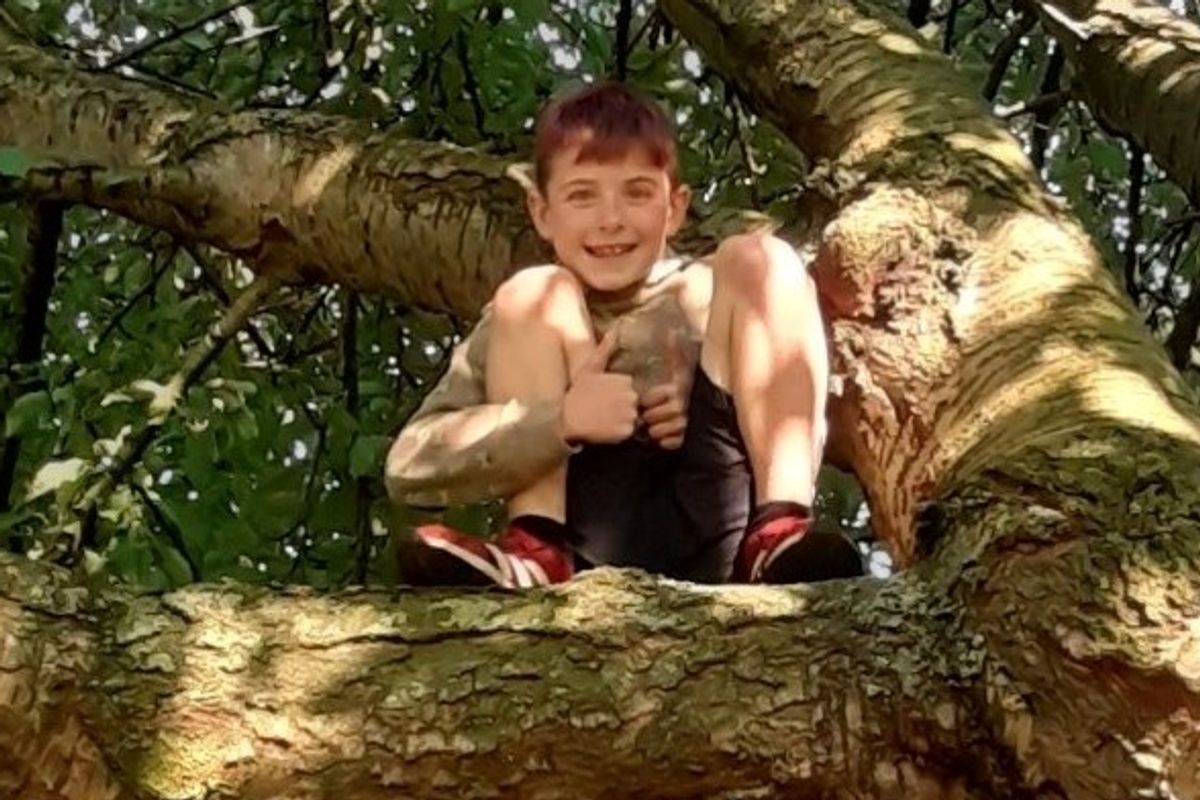 Seth Fulton, 11, died in hospital after becoming involved in a collision with a bus and car.