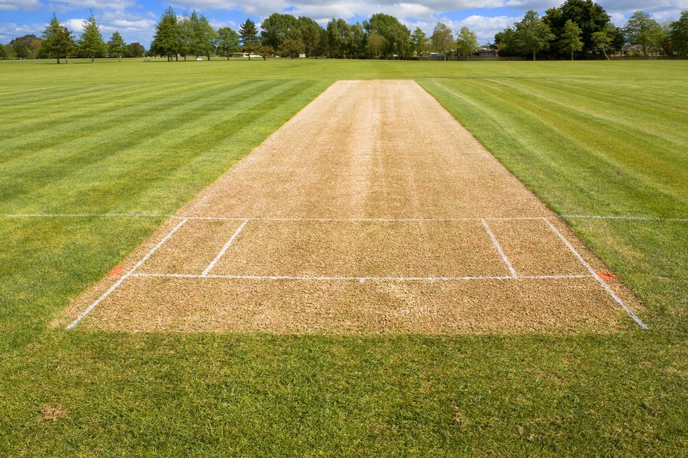 Cricket pitch sport grass field empty background cricket pitch, sport grass field, empty background