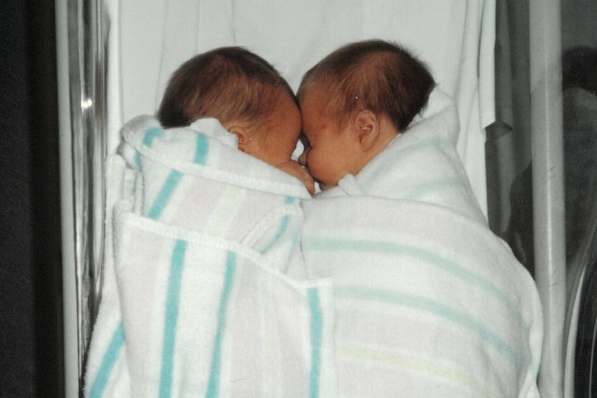 Two newborn babies lie in a hospital crib facing one another