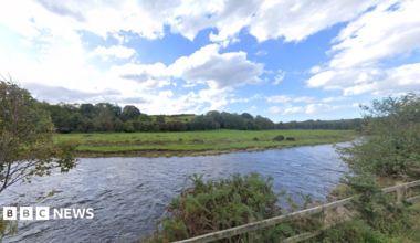A Google Street View screenshot of the river. Taken from a nearby road, there is a flat, grassy bank on the other side, lined by large trees.