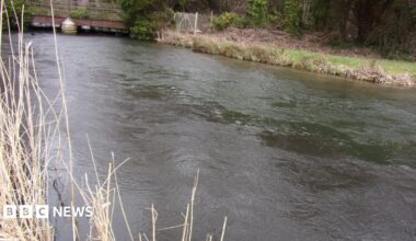 An Environment Agency picture of the River Test flowing through countryside, with the near side appearing brown and polluted