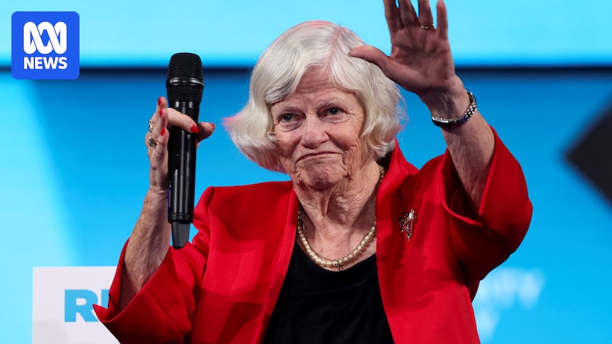 Suspect in former UK MP Ann Widdecombe's murder investigation released