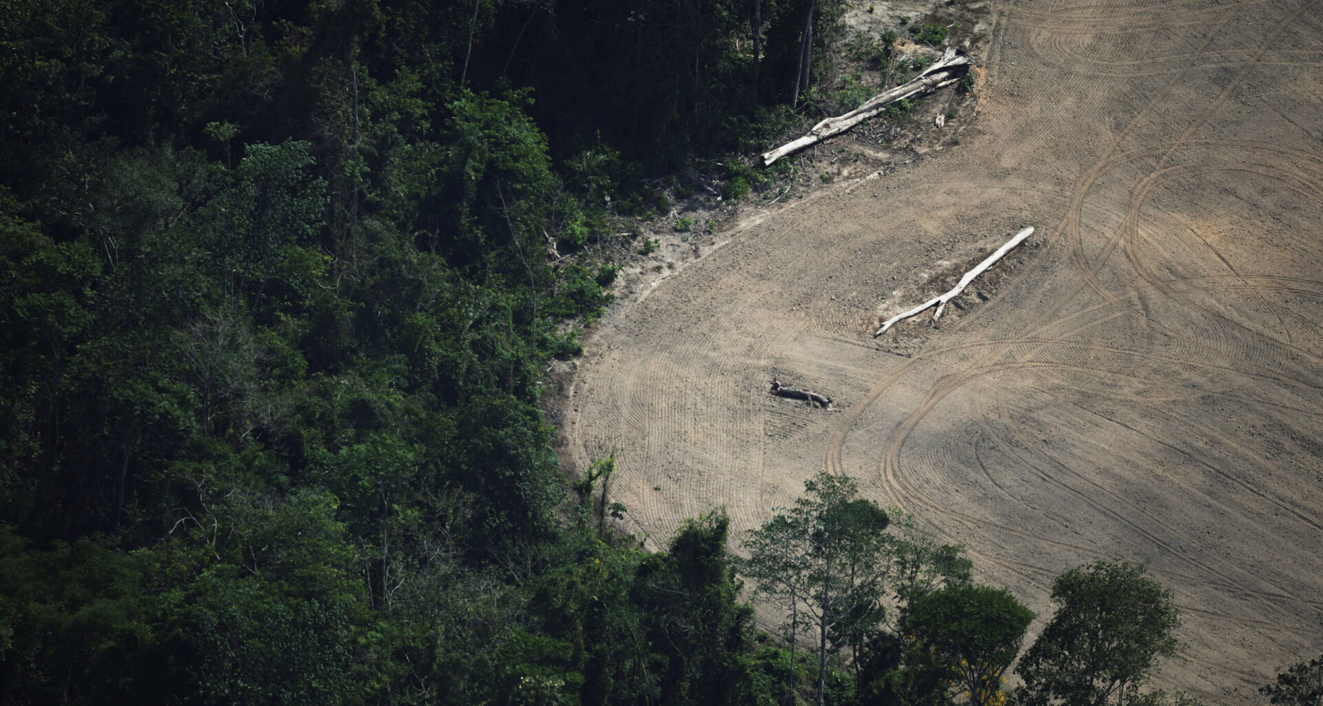 Tropical forest protection fund at risk after UK stalls on pledge
