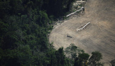 Tropical forest protection fund at risk after UK stalls on pledge