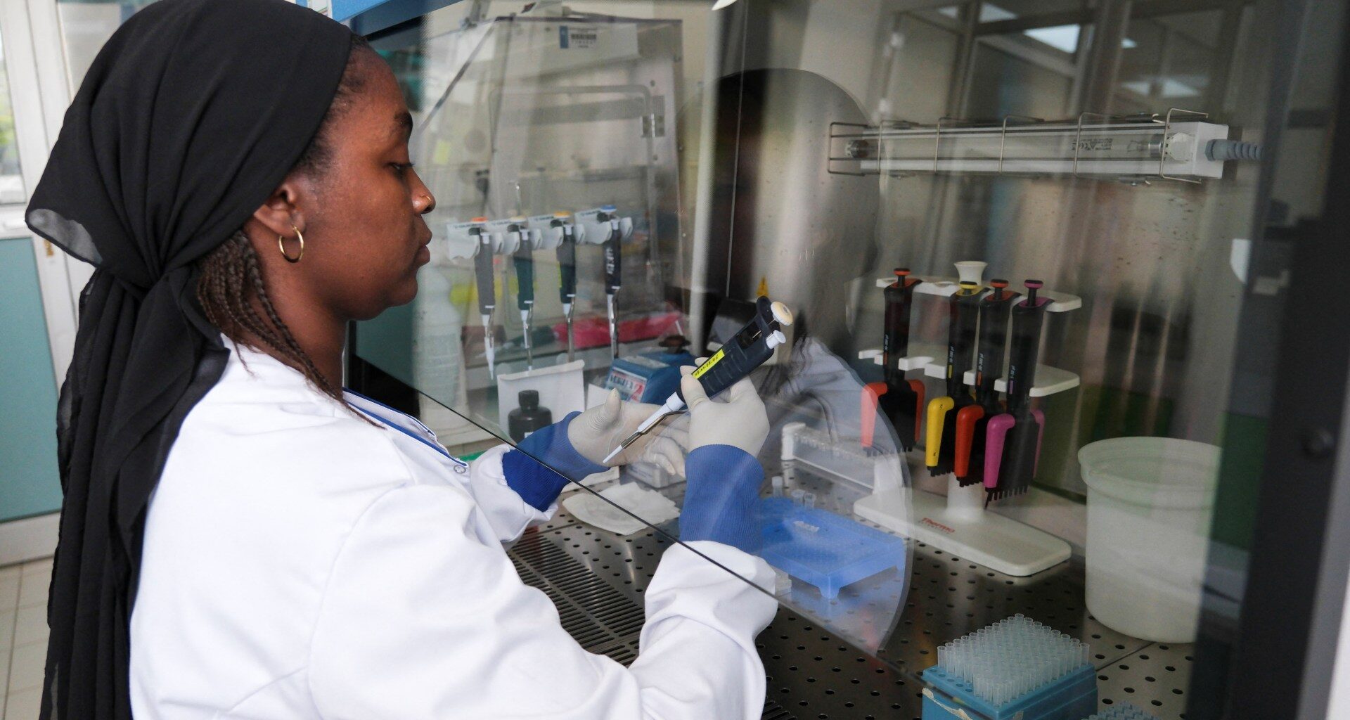 WHO declares cruise-linked hantavirus outbreak officially over | World Health Organization News