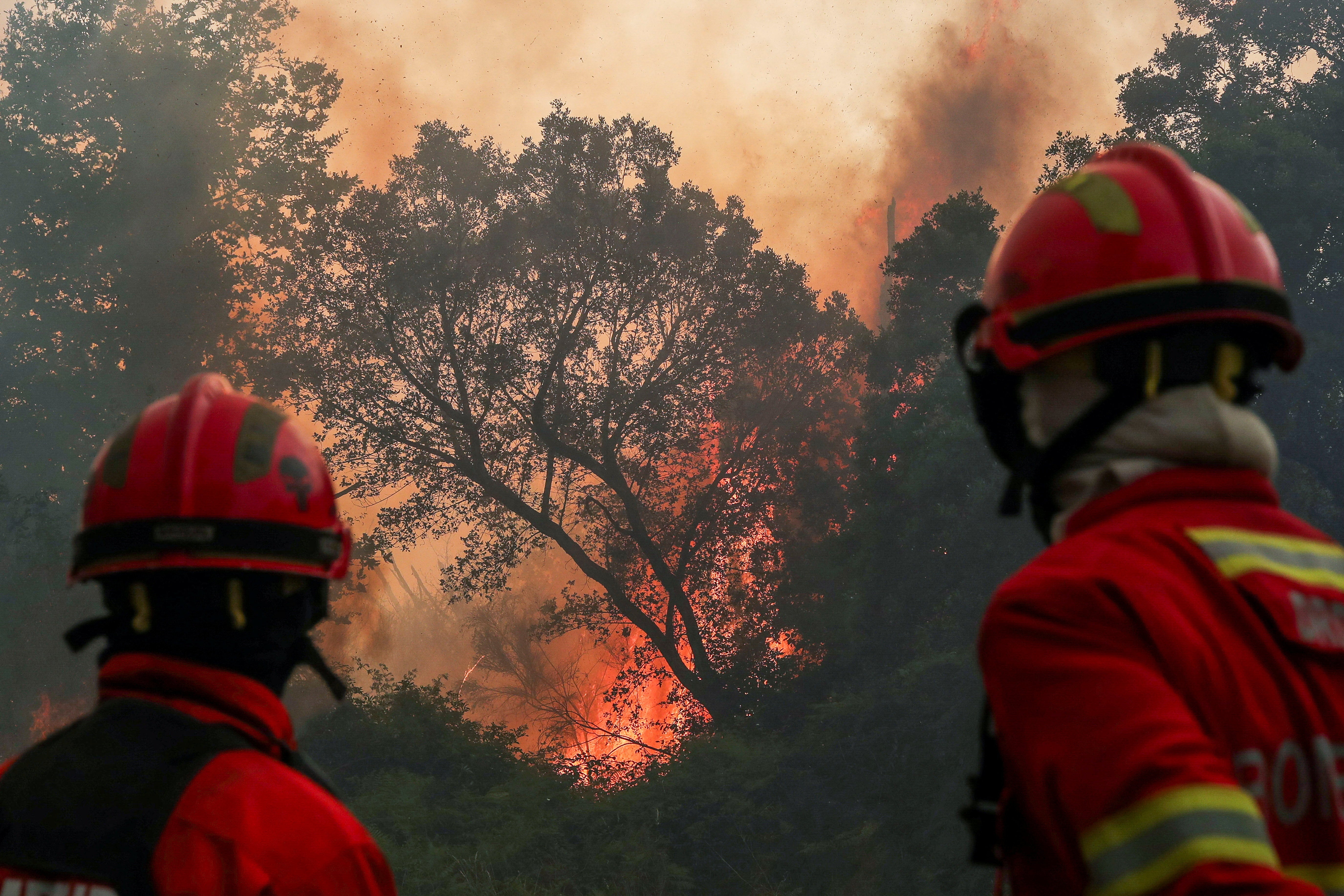 Firefighters work to prevent flames from advancing towards the village of Cercosa during a wildfire in Vouzela, Portugal, July 4, 2026.