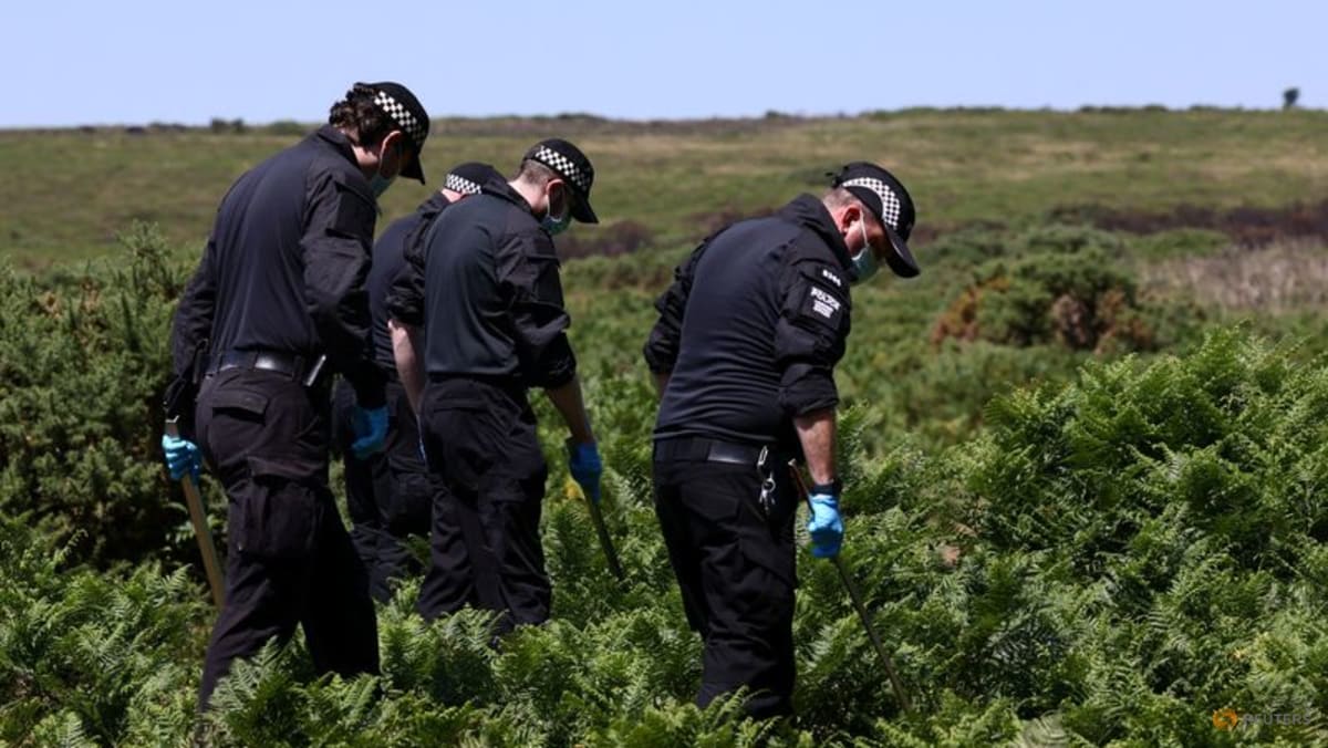 UK police release suspect held over murder of Ann Widdecombe