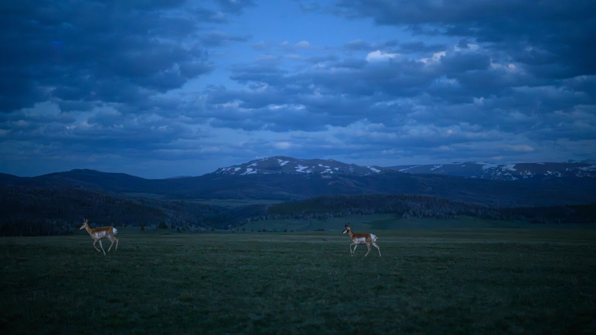2026 Tour Divide Photographers Choice, Eddie Clark