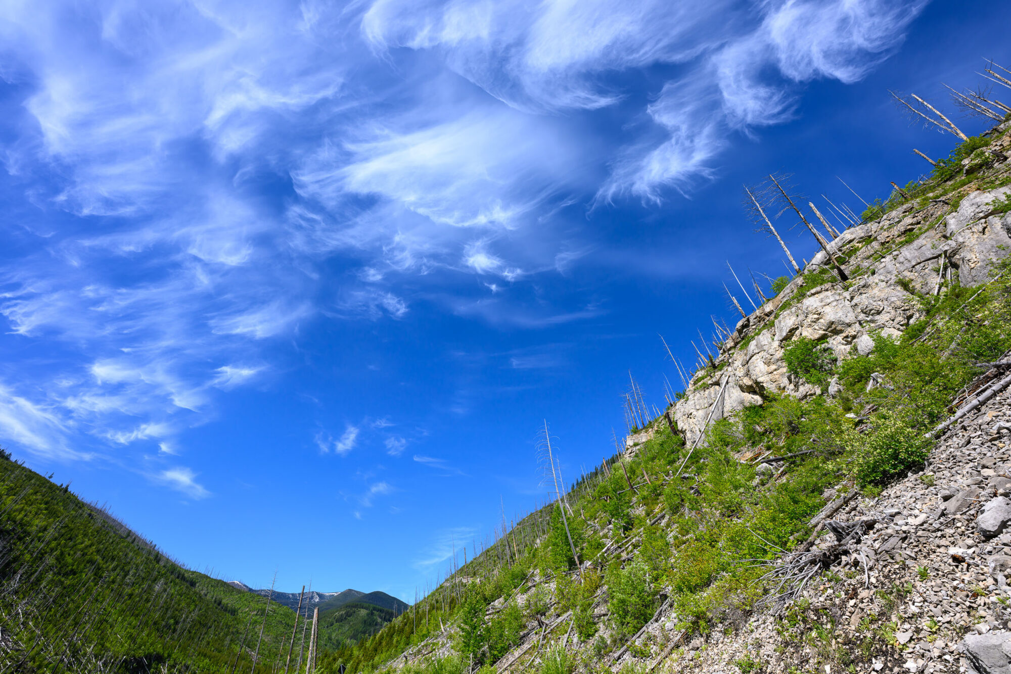 2026 Tour Divide Photographers Choice, Eddie Clark