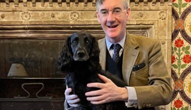 Economic expert debunks Jacob Rees-Mogg's 'misleading' chart