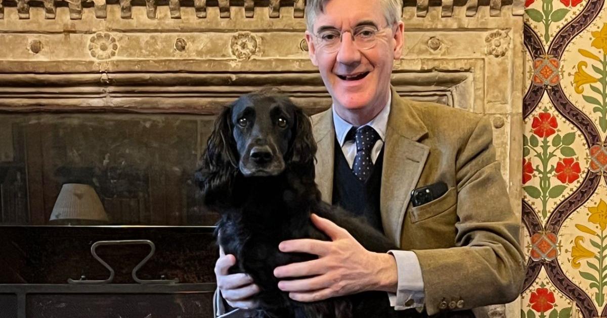 Economic expert debunks Jacob Rees-Mogg's 'misleading' chart