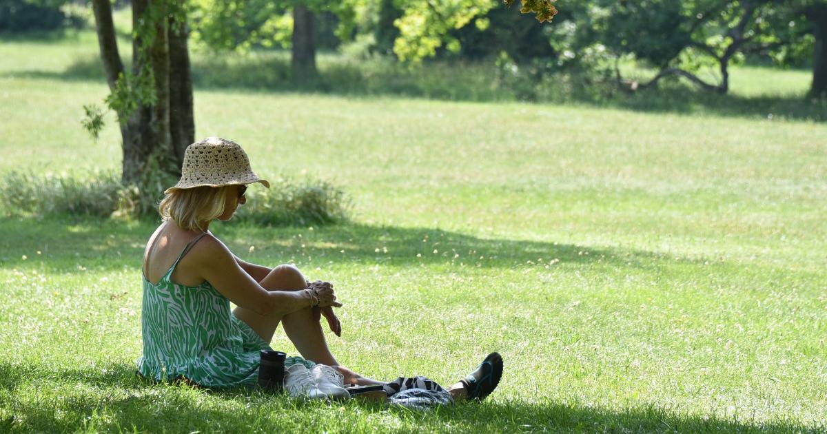 New heat health-alert for Norfolk ahead of more hot weather