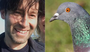 West Hove Golf Club responds to pigeon cull accusations