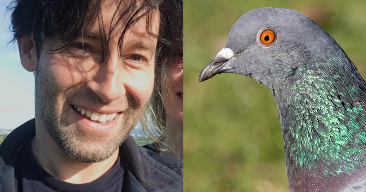 West Hove Golf Club responds to pigeon cull accusations