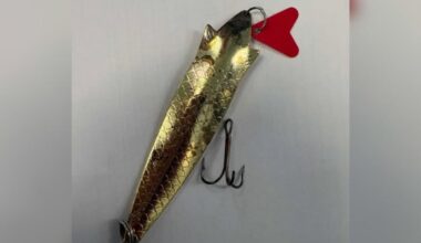 Pets injured by discarded fishing equipment in Norfolk