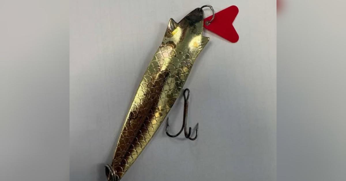Pets injured by discarded fishing equipment in Norfolk