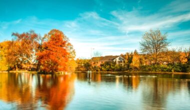 Chesham's Lowndes Park pond to undergo water quality plans