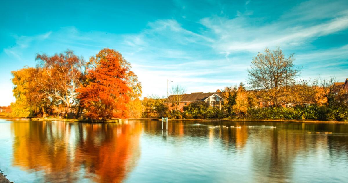 Chesham's Lowndes Park pond to undergo water quality plans