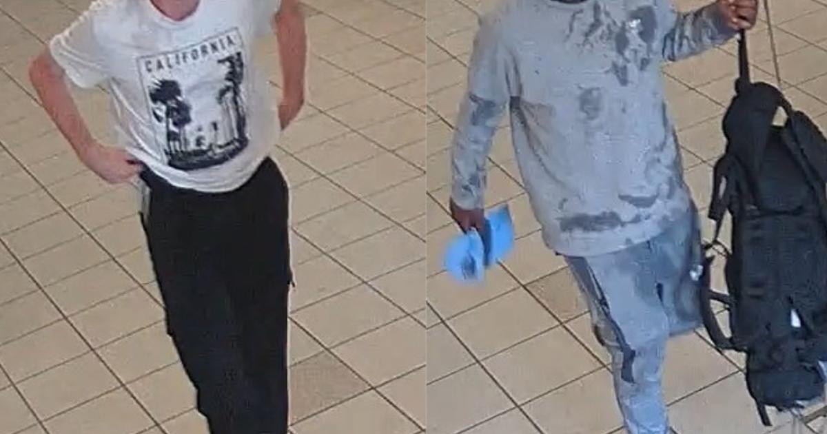Police appeal over assault as victim in critical condition
