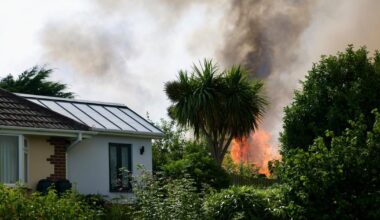 PICTURES - Huge fire breaks out at Dorset park - Dorset Echo