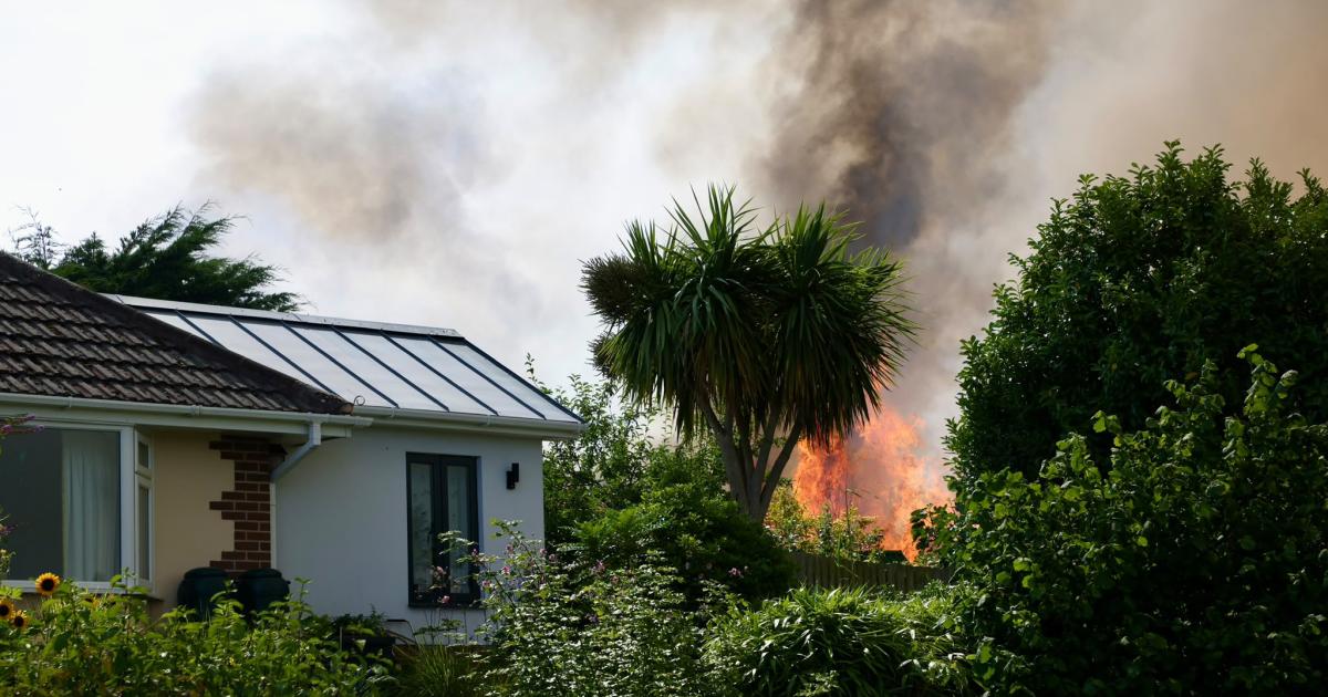 PICTURES - Huge fire breaks out at Dorset park - Dorset Echo