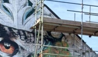 Graffiti sprayed across landmark Boscombe owl mural