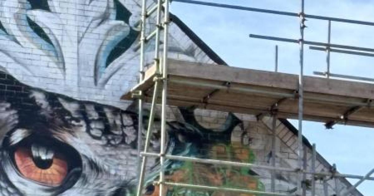 Graffiti sprayed across landmark Boscombe owl mural