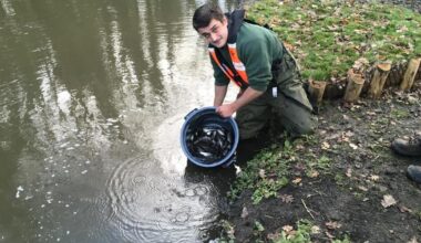 Bracknell petition demands action to protect River Cut