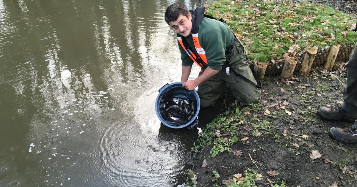 Bracknell petition demands action to protect River Cut