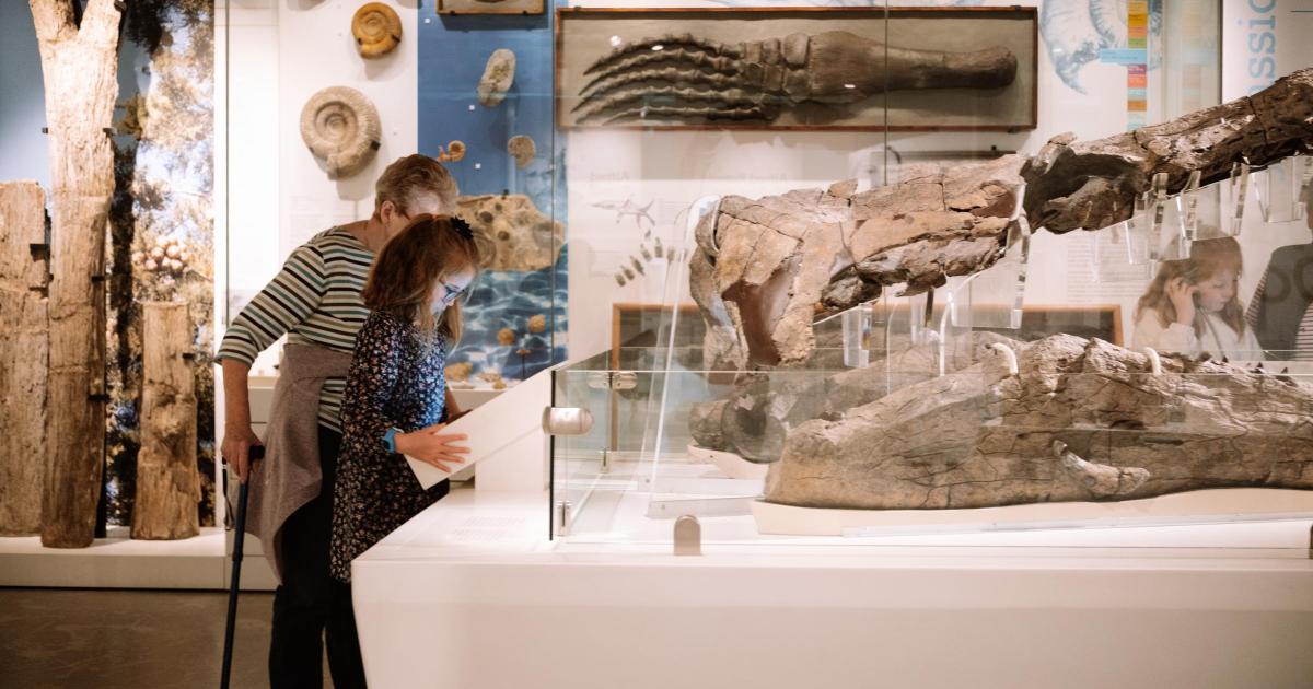 Dorset Museum & Art Gallery launch Community Access Ticket