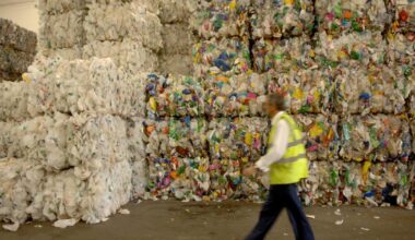 Norfolk recycling rates fall to lowest level in six years
