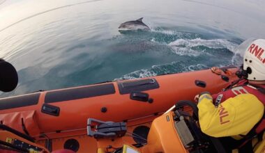 Dolphins delight Littlehampton RNLI during training