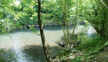 Sewage in River Ebbw in Rogerstone sparks health concerns