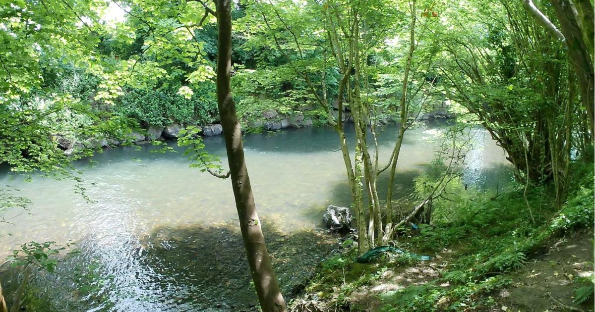 Sewage in River Ebbw in Rogerstone sparks health concerns