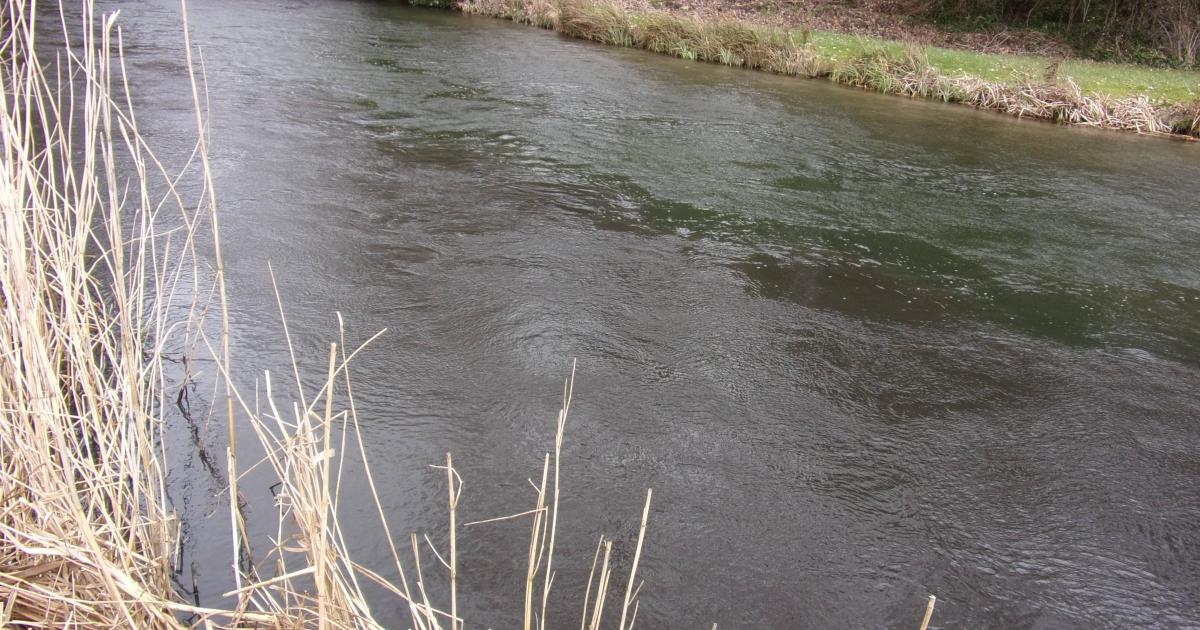 Southern Water admits polluting River Test in Hampshire
