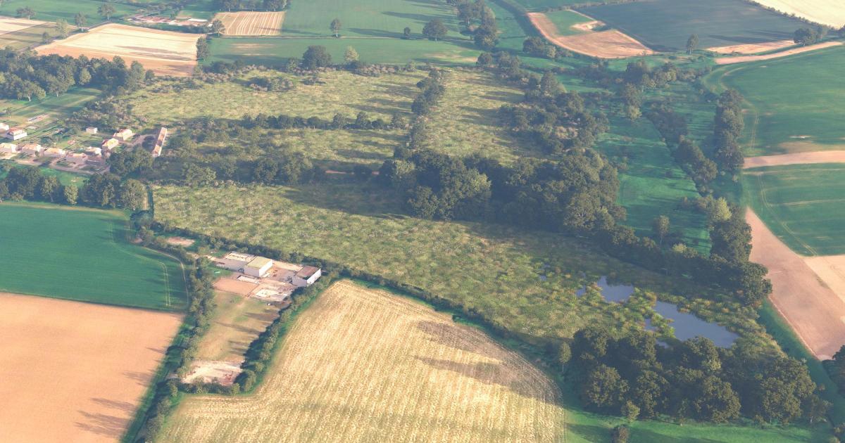 Wymondham Habitat Bank helping natural environment thrive