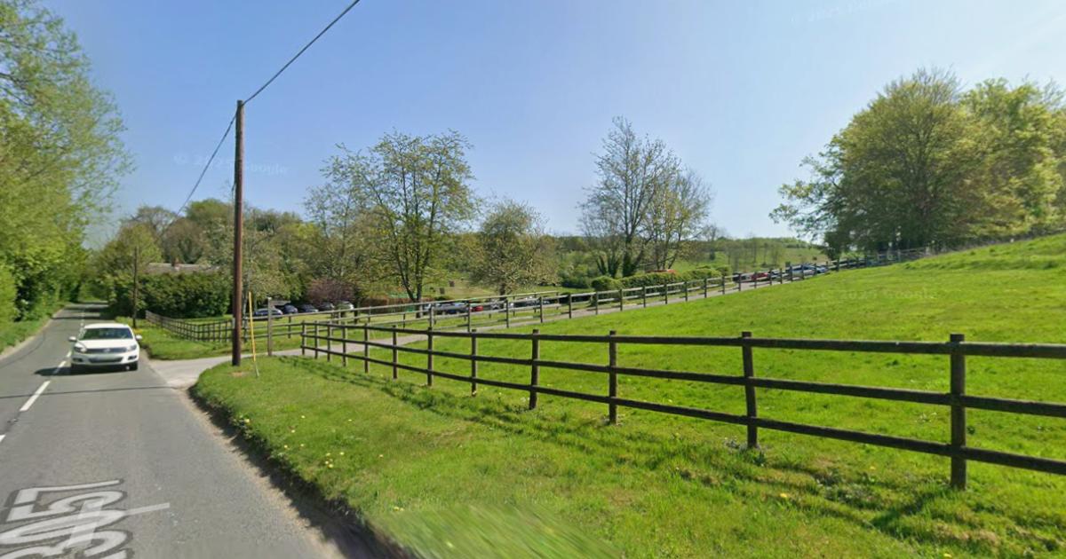 Golfers awarded for saving man's life on Winchester course