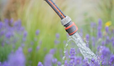 What drought status means for hosepipe bans in North Wales