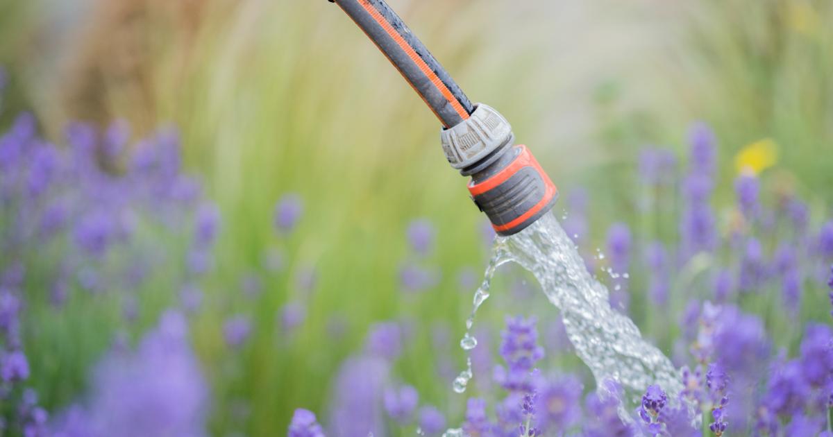 What drought status means for hosepipe bans in North Wales