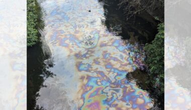 Environment Agency investigation into oil in Sankey Valley Canal