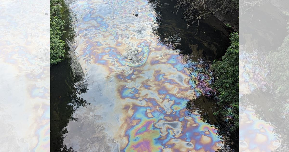 Environment Agency investigation into oil in Sankey Valley Canal