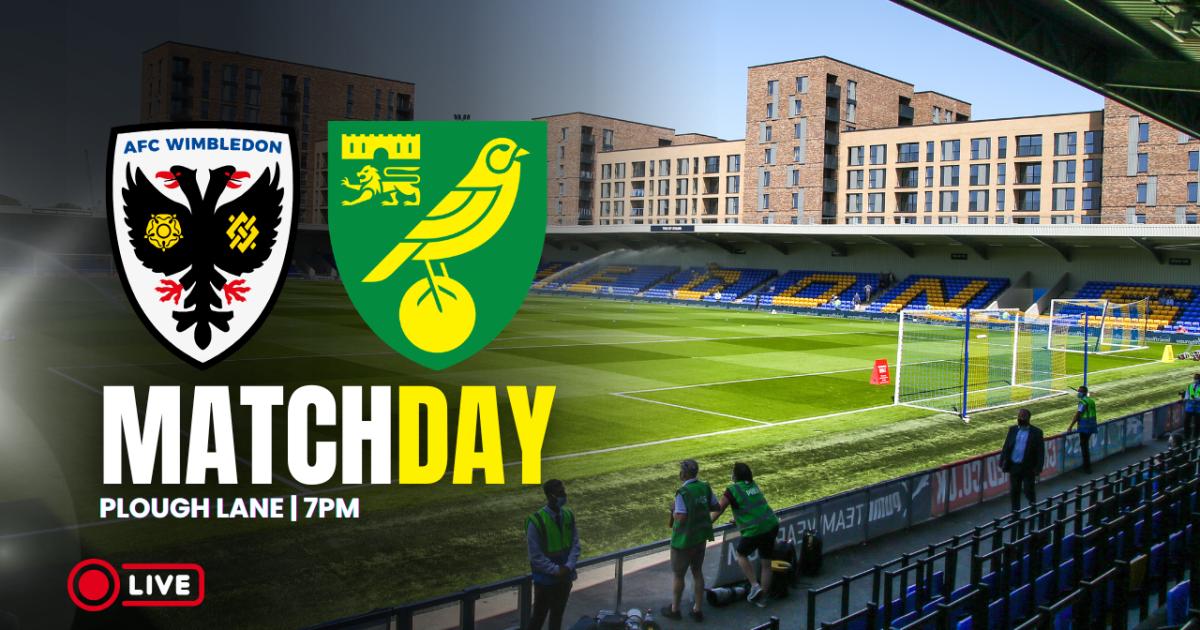 AFC Wimbledon v Norwich City: Follow live pre-season action