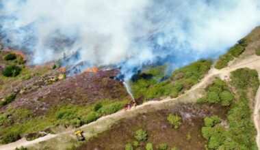 Isle of Wight Headon Warren wildfire: Drone photos reveal damage