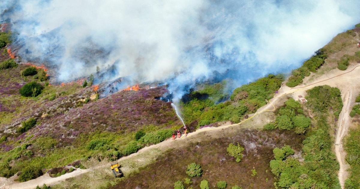 Isle of Wight Headon Warren wildfire: Drone photos reveal damage