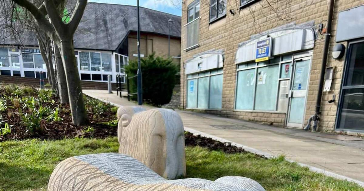 Schoolchildren give names to sheep sculptures in Shipley