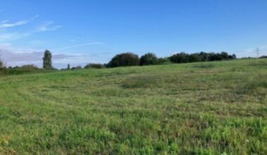 Two Warrington sites to boost wildlife as habitat banks