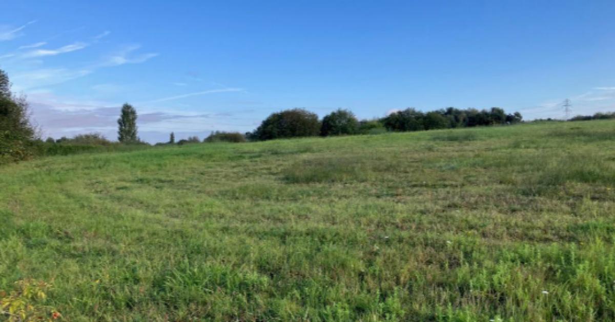 Two Warrington sites to boost wildlife as habitat banks
