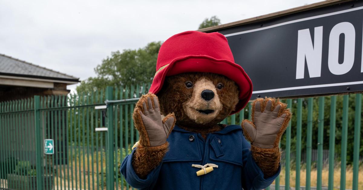Hundreds meet Paddington Bear at Hopetown, Darlington